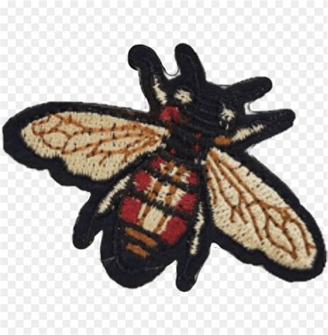 gucci coniglio|gucci bee logo.